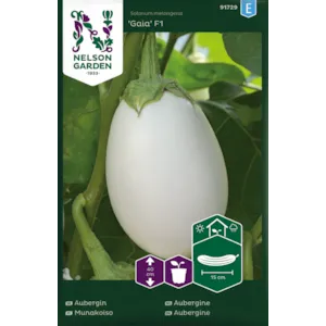 Frø aubergine Gaia