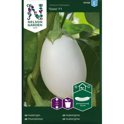 Frø aubergine Gaia
