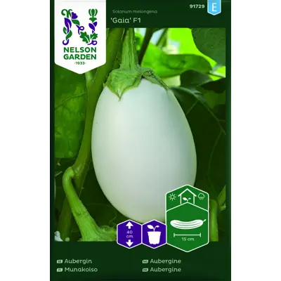 Frø aubergine Gaia