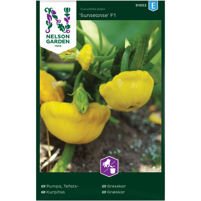 Frø gresskar Sunseanse