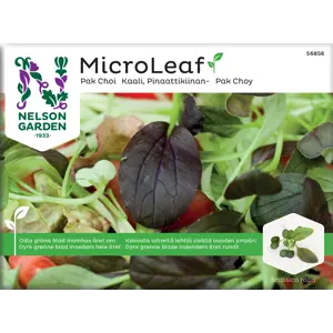Frø Pak Choi MicroLeaf