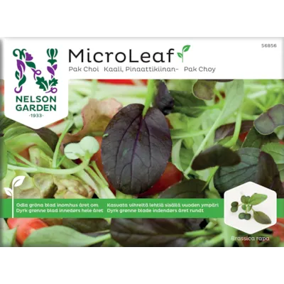 Frø Pak Choi MicroLeaf