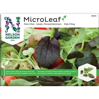 Frø Pak Choi MicroLeaf
