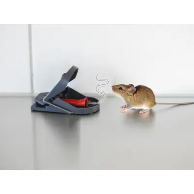 Musefelle PRO Supercat 6+2, bilde 5