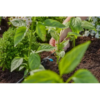 MDS drypphode rekke, bilde 3