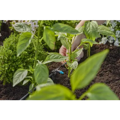 MDS drypphode rekke, bilde 3