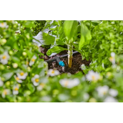 MDS drypphode rekke, bilde 2