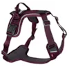 Lilla Hundesele Ramble Harness lilla