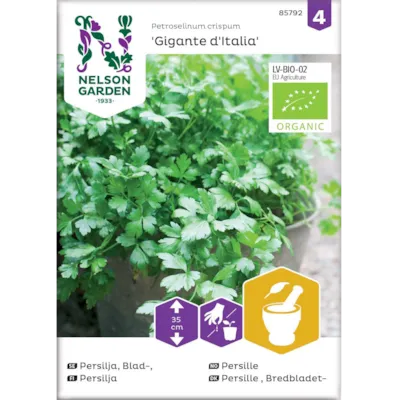 Frø persille Gigante d'Italia økologisk