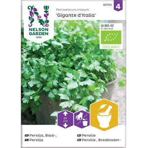 Frø persille Gigante d'Italia økologisk