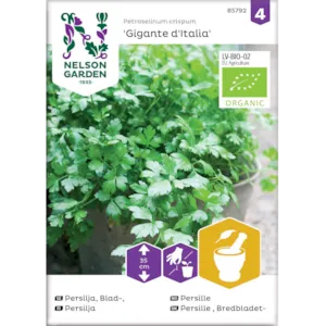 Frø persille Gigante d'Italia økologisk
