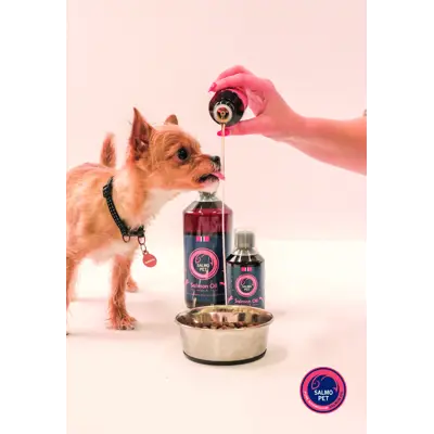 Lakseolje Premium 1000 ml, bilde 2