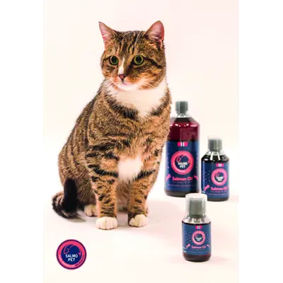 Lakseolje Premium 1000 ml, bilde 3