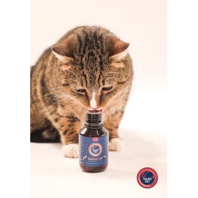 Lakseolje Premium 1000 ml, bilde 4