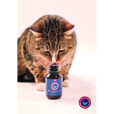 Lakseolje Premium 1000 ml, bilde 4