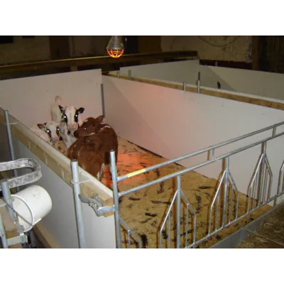 Gruppekalvboks, bilde 2