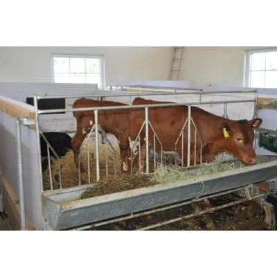 Gruppekalvboks, bilde 3