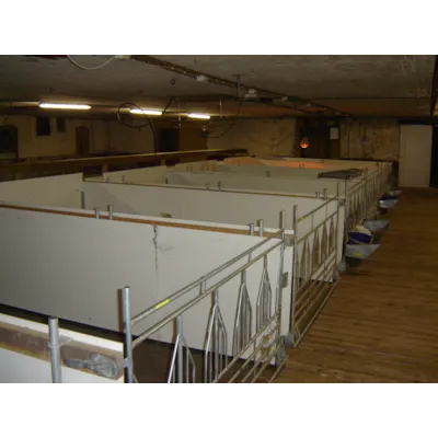 Gruppekalvboks, bilde 4