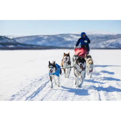Hundedekken Long Distance Light Jacket blå, bilde 6