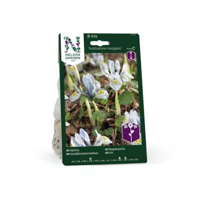 Høstløk iris Katharine Hodgkin