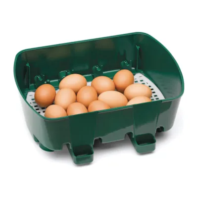 Rugemaskin 12 egg 80W, bilde 2