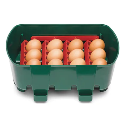 Rugemaskin 12 egg 80W, bilde 3