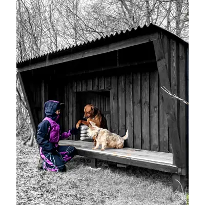 Varmedress allround dame lilla, bilde 4