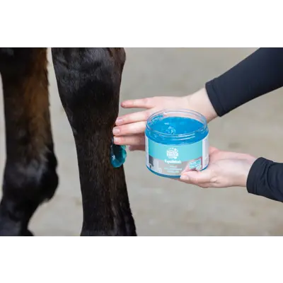 Kjølegele EquiMint 500ml, bilde 3