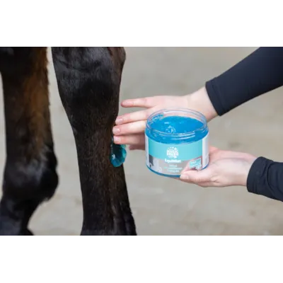 Kjølegele EquiMint 500ml, bilde 3