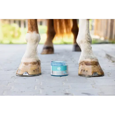 Kjølegele EquiMint 500ml, bilde 2