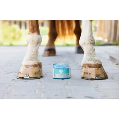 Kjølegele EquiMint 500ml, bilde 2