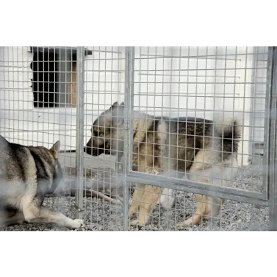 Veggelement til hundegård 120x180cm, bilde 4