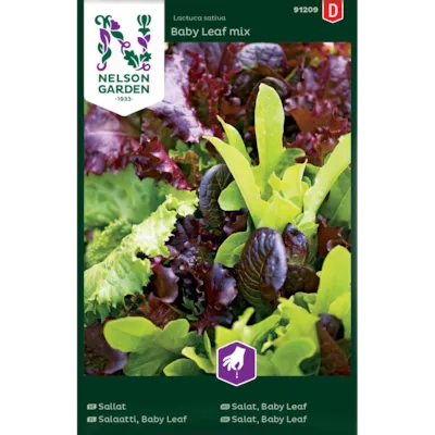 Frø salat Baby Leaf mix