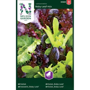 Frø salat Baby Leaf mix