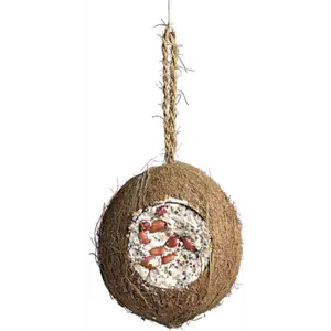 Kokosnøtt 700 g