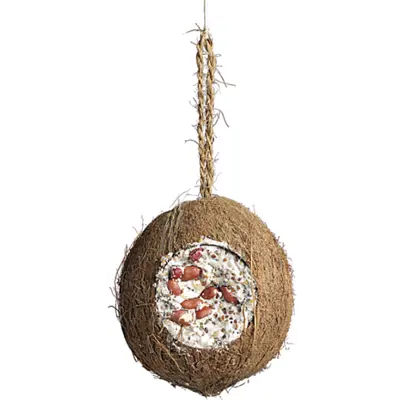 Kokosnøtt 700 g