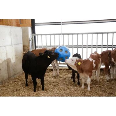 Leke og fôringsball blå, bilde 3