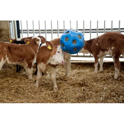 Leke og fôringsball blå, bilde 2