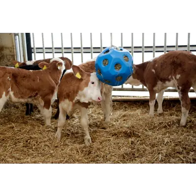 Leke og fôringsball blå, bilde 2