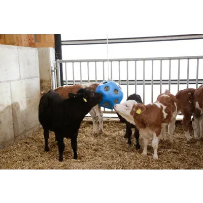 Leke og fôringsball blå, bilde 3