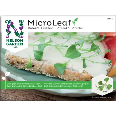 Frø grønnkål MicroLeaf