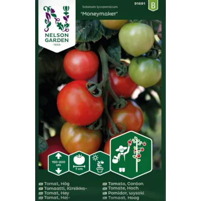 Frø tomat høy Moneymaker