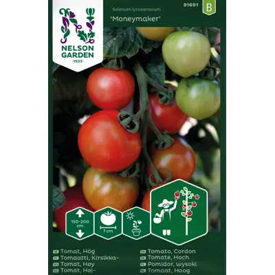 Frø tomat høy Moneymaker