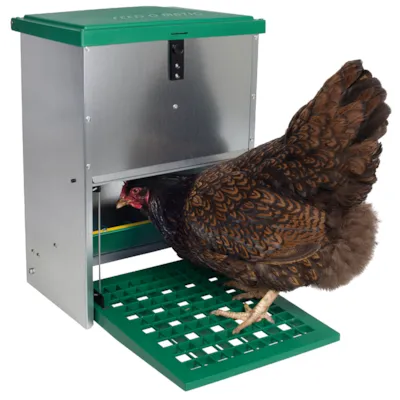 Fôrsilo til høns utendørs 12 kg, bilde 2
