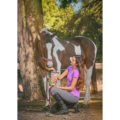 Godbiter Rainbow, bilde 4