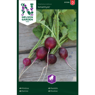 Frø reddik Amethyst