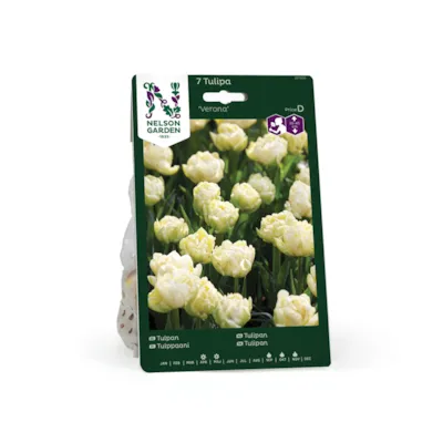 Høstløk tulipan Verona