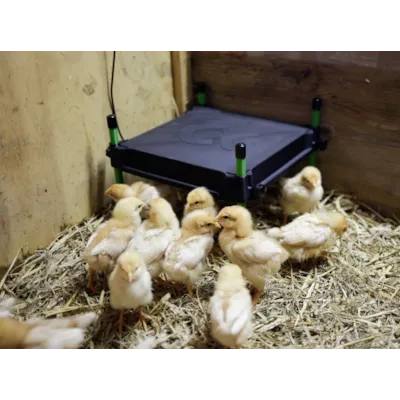 Varmeplate 12V 30x30 cm, bilde 5