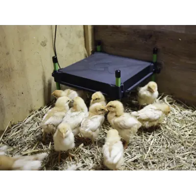 Varmeplate 12V 30x30 cm, bilde 5