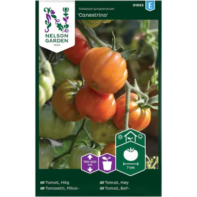 Frø tomat høy Canestrino